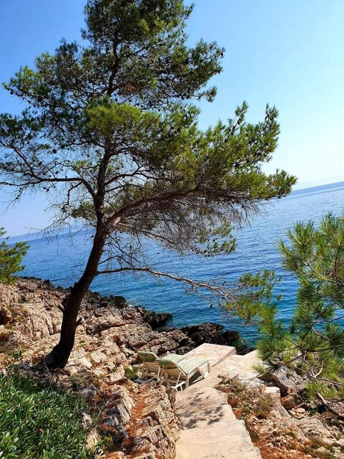 Willa Modern Robinson Veli Bare Vela Luka Zewnętrze zdjęcie