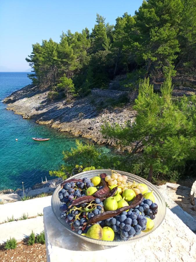 Willa Modern Robinson Veli Bare Vela Luka Zewnętrze zdjęcie