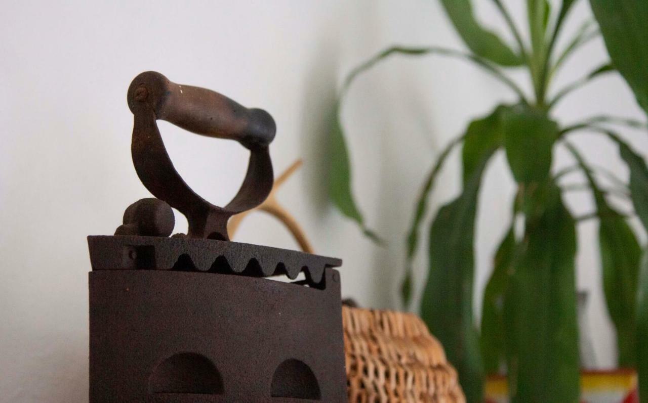 Willa Modern Robinson Veli Bare Vela Luka Zewnętrze zdjęcie